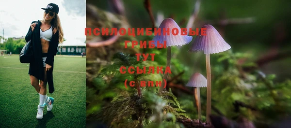 синтетический гашиш Абинск