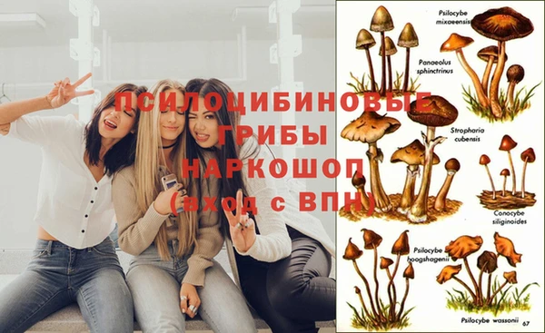COCAINE Барнаул