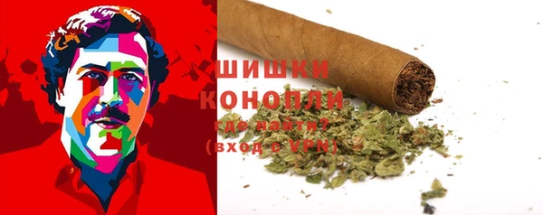 apvp Лиски