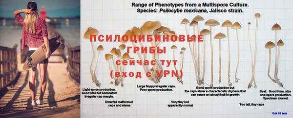 не бодяженный Лихославль