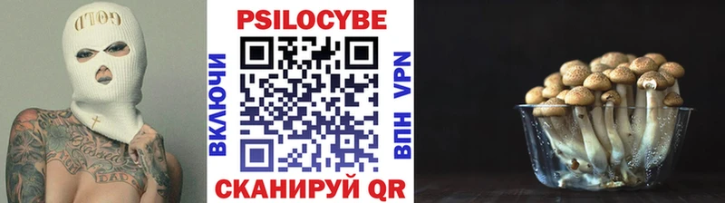 даркнет Telegram  hydra рабочий сайт  Омск  Псилоцибиновые грибы MAGIC MUSHROOMS 
